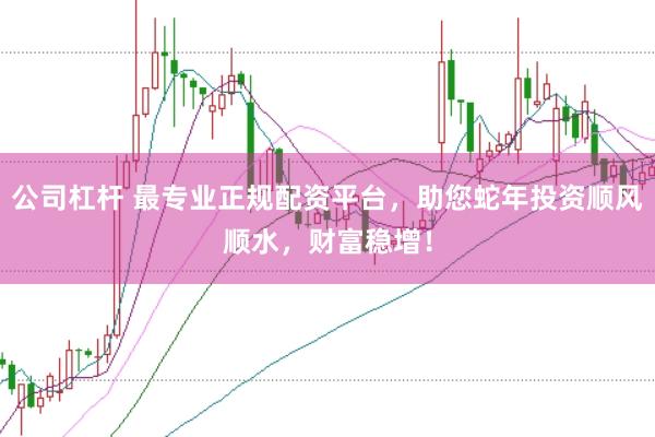 公司杠杆 最专业正规配资平台，助您蛇年投资顺风顺水，财富稳增！