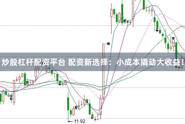 炒股杠杆配资平台 配资新选择：小成本撬动大收益！