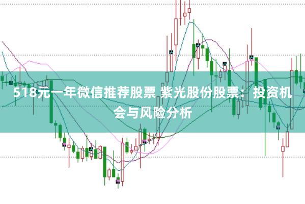 518元一年微信推荐股票 紫光股份股票：投资机会与风险分析