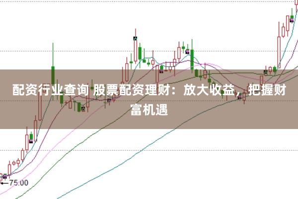 配资行业查询 股票配资理财：放大收益，把握财富机遇