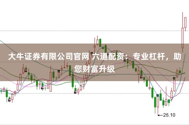 大牛证券有限公司官网 六道配资：专业杠杆，助您财富升级