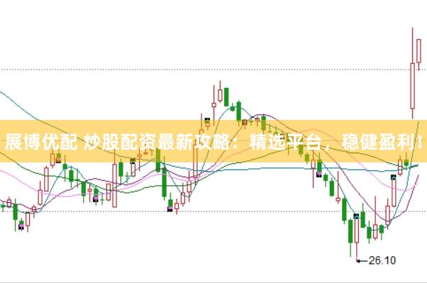 展博优配 炒股配资最新攻略：精选平台，稳健盈利！