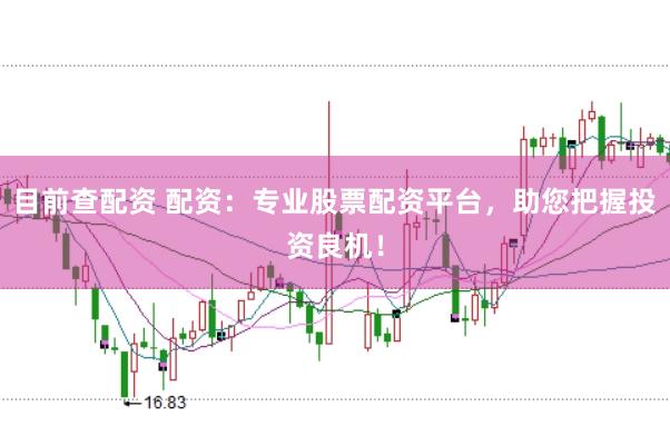目前查配资 配资：专业股票配资平台，助您把握投资良机！