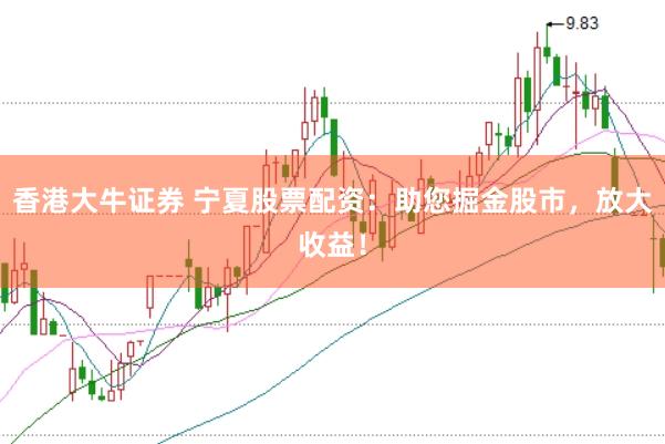 香港大牛证券 宁夏股票配资：助您掘金股市，放大收益！