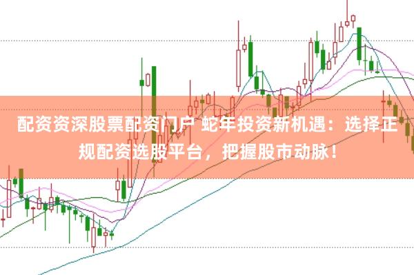 配资资深股票配资门户 蛇年投资新机遇：选择正规配资选股平台，把握股市动脉！