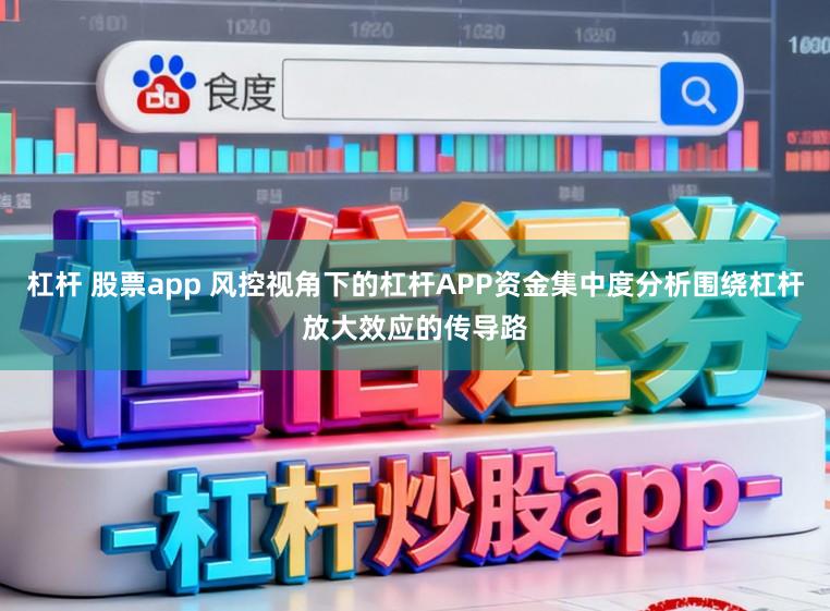 杠杆 股票app 风控视角下的杠杆APP资金集中度分析围绕杠杆放大效应的传导路
