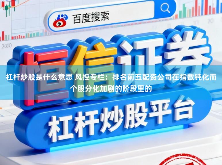杠杆炒股是什么意思 风控专栏：排名前五配资公司在指数钝化而个股分化加剧的阶段里的